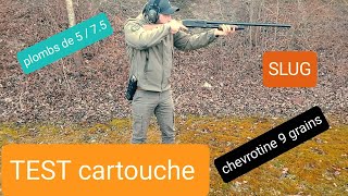 FUSIL A POMPE (cat C) : TEST cartouche chevrotine / grenaille / slug solognac