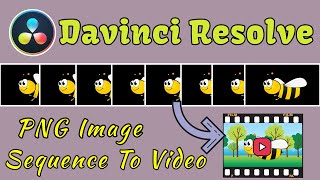 Davinci Resolve PNG Image Sequence to Video