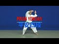 Wado   ryu full kata pinan   bunkai