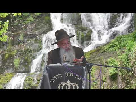 הרב מאיר דוד שמואלי -  פרשת ויגש