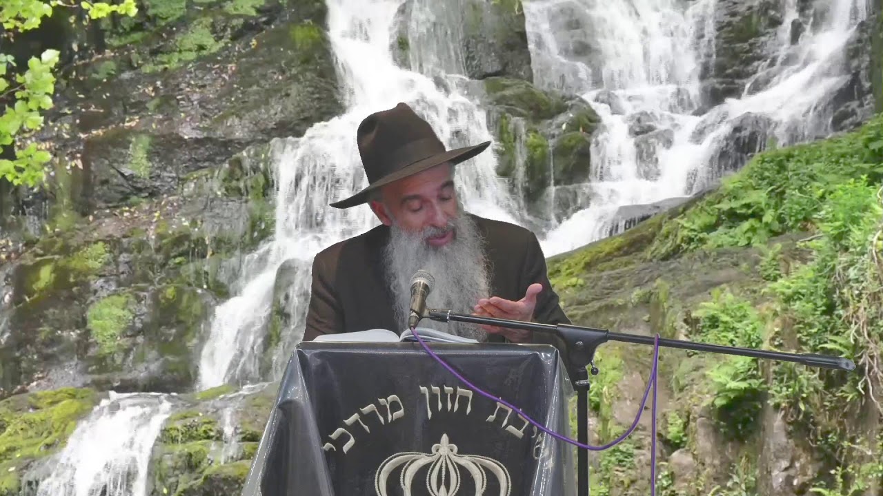 הרב מאיר דוד שמואלי -  פרשת ויגש