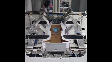 MTW - Fruit Box Folding Machine Good Quality Tray Former