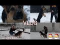 #Vlog #2 🔴Վերջապես ձյուն եկավ🔴/La prima nevicata ❄ ⛄