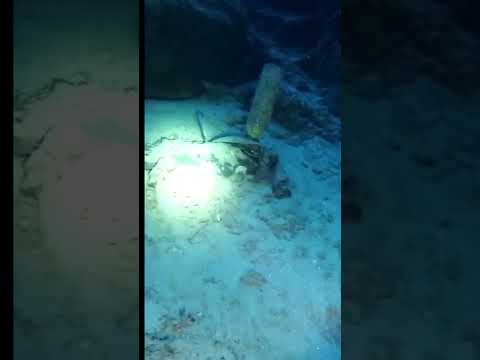 Mystery taking young divers - BLUE HOLE