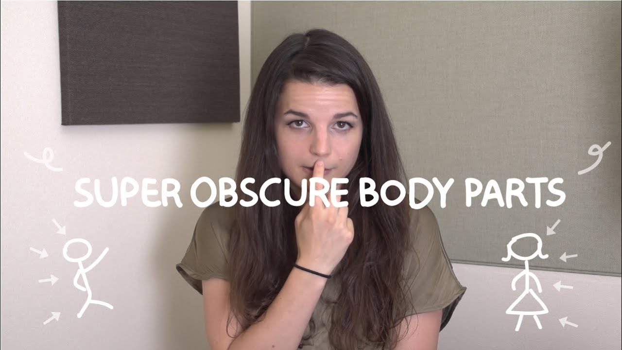 ⁣Weekly English Words with Alisha - Super Obscure Body Parts