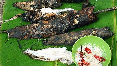 Cá lóc nướng trui #mientay 