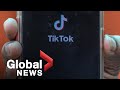 Trump threatens to ban TikTok unless it becomes US-owned