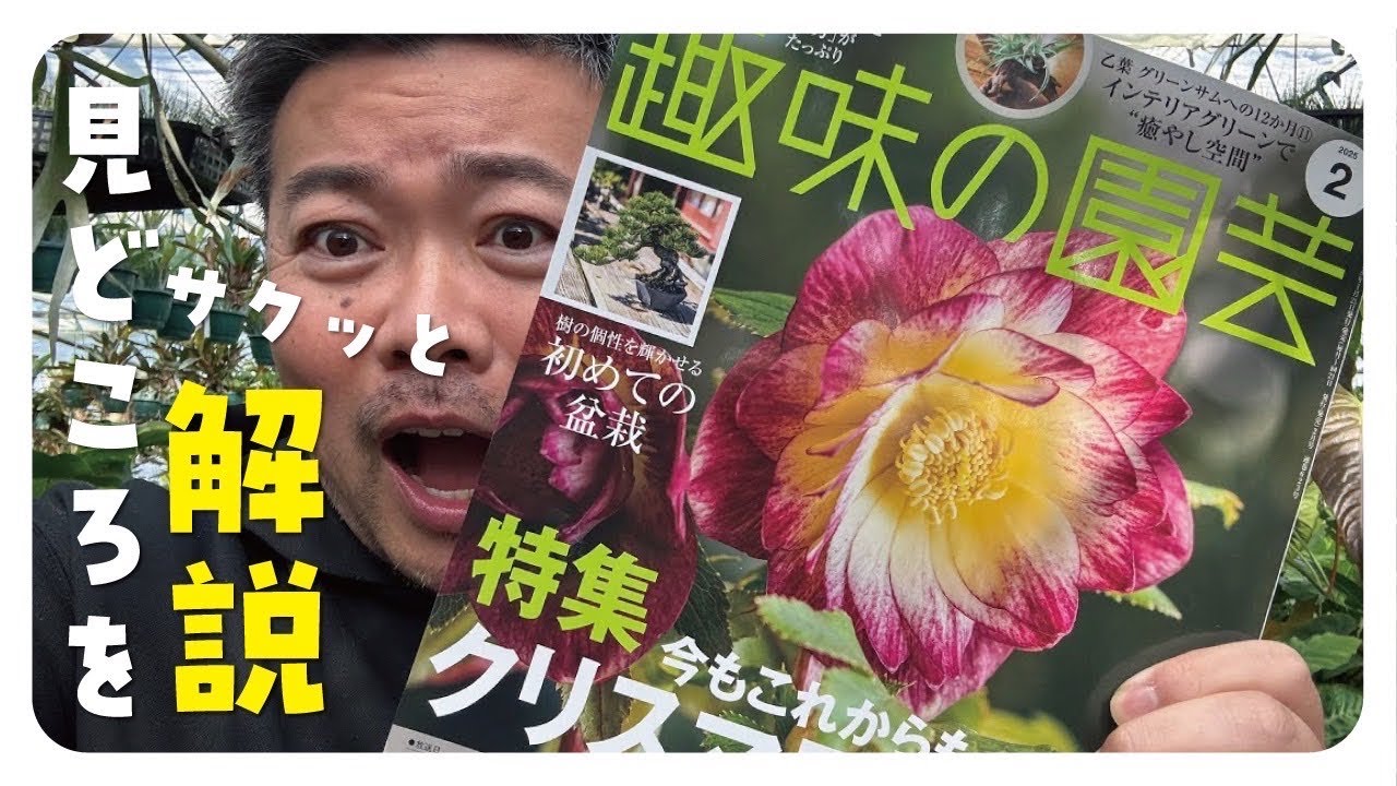 On sale today! My own explanation of the February issue of NHK