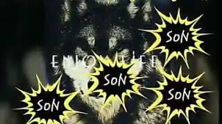 Gozel Kurt Sekilleri