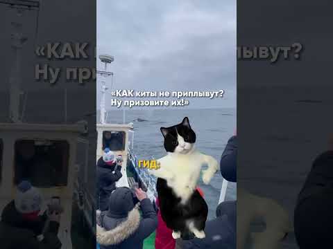 Приезжайте на Кольский