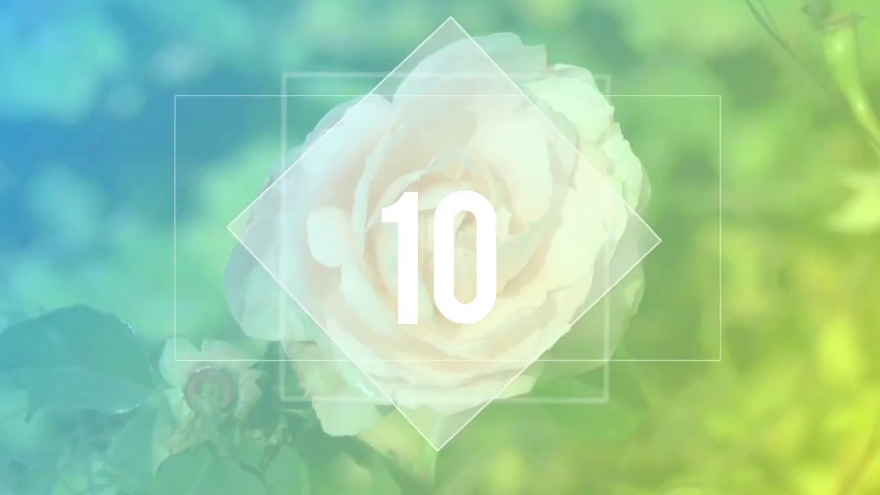 Top 10 Pink Flowers YouTube
