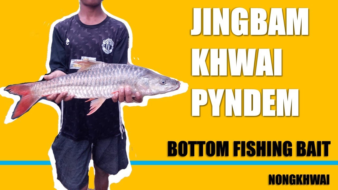 Jingbam khwai pyndem u Nongkhwai || Bottom Fishing Hook Bait ||
