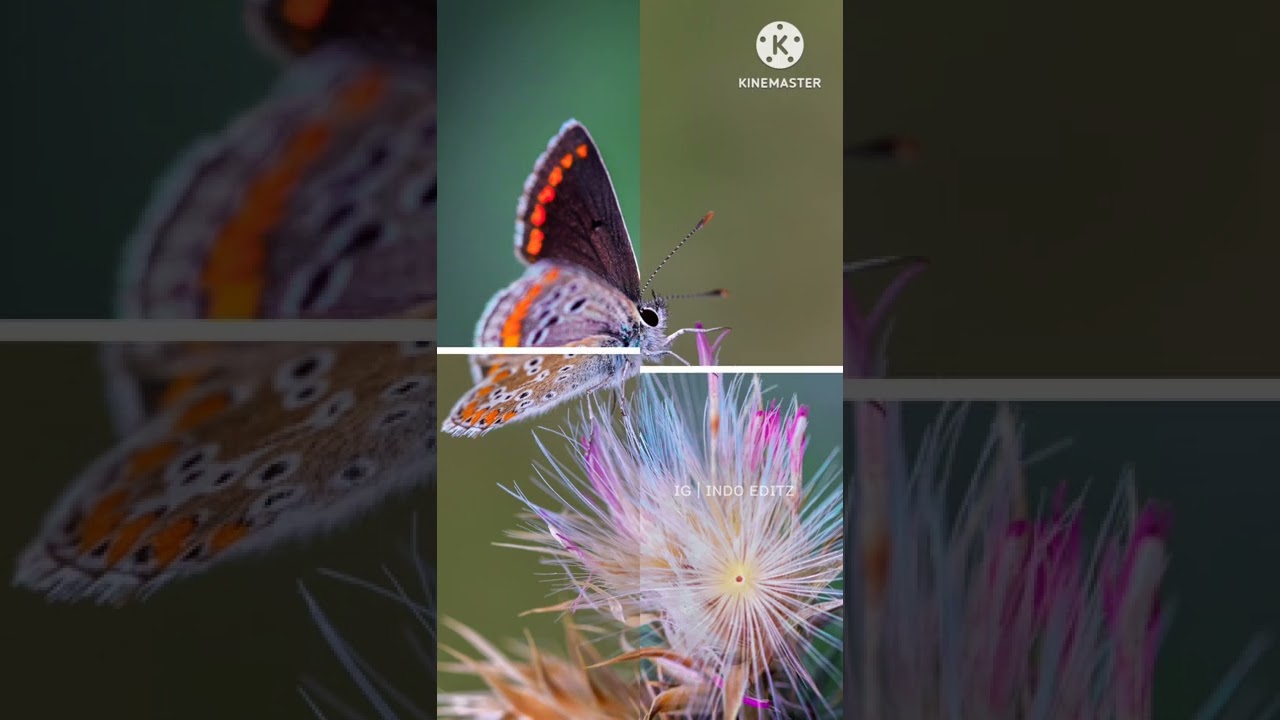 Before/after reel | insta before after reel | new insta trending before after short 