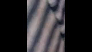 Kismat ka mara hu savre shyam bhajan