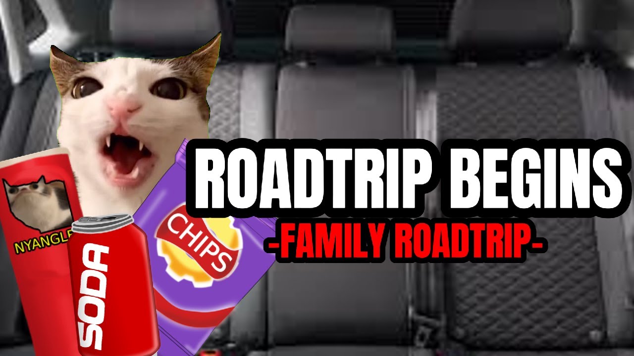 CAT MEMES: ROADTRIP TO THE CARNIVAL PT.1