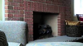 Chimney Bird Rescue