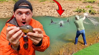 Saving Baby Fish From This Dried Up Creek!