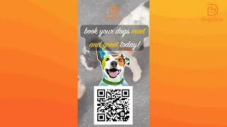 Do you know what your dog learns in doggie daycare?