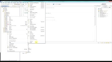 TrueSTUDIO subversion client integration - Advanced, part 2/6
