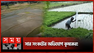 রাজশাহীতে শুরু হয়েছে রোপা-আমন ধানের আবাদ | Rajshahi Paddy | Ropa Amon Rice | Somoy TV