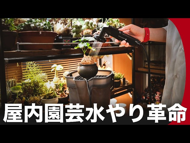 ポータブルシャワーと水やりバケツの組み合わせで屋内園芸勢歓喜の水
