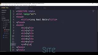 Long Haul Walk(Indie Game) Site - 1 || Coding || Attachment Studios Code || Attachment Studios
