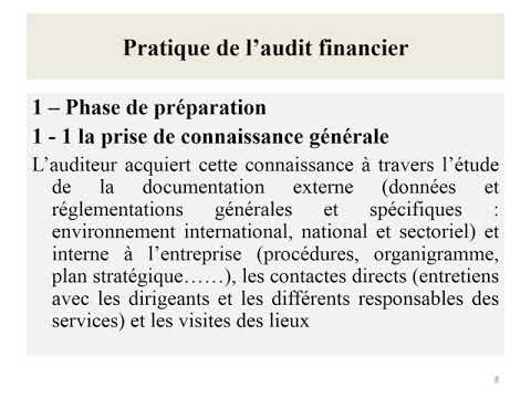 Vidéo: Les auditeurs internes vérifient-ils les états financiers ?