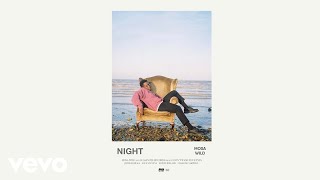 Video thumbnail of "Mosa Wild - Night (Official Audio)"