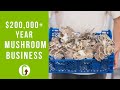 How to run a profitable mushroom business  grocycle