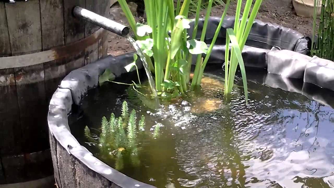 Bassins Cascade Pompe Solaire Https Youtu Be Z5uma92sy1k Youtube