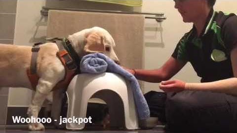 Teaching a sustained target