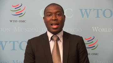 Transparency in the MTS