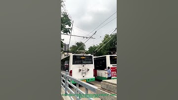 Trolleybus: Reconnecting to Overhead Wires