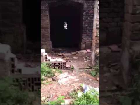 الوحش المخيف