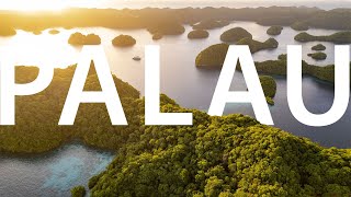 Palau Snorkel Safari 2024