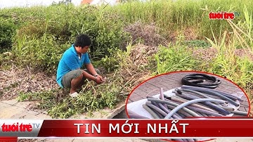 ⚡ Tin mới nhất | Đột nhập trường cao đẳng trộm cắp 39 đoạn cáp đồng