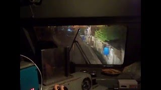 Video Test Suara / Semboyan 35 Lokomotif CC203-03 download MP3, 3GP, MP4, WEBM, AVI, FLV April 2018 Video Test Suara / Semboyan 35 Lokomotif CC203-03 download MP3, 3GP, MP4, WEBM, AVI, FLV April 2018