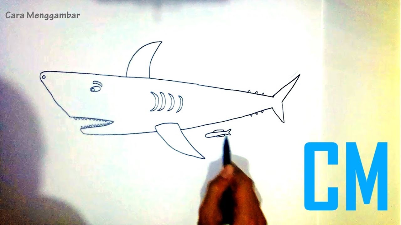  Cara Menggambar Ikan HIU  dengan Mudah YouTube