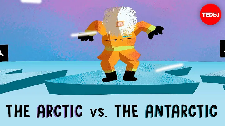 The Arctic vs. the Antarctic - Camille Seaman - DayDayNews