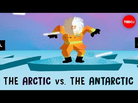 Jakie jest pełne znaczenie słowa arctic?