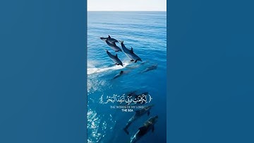 صوت السماء عبدالباسط عبدالصمد تلاوه  من اشهر تلاواته❤#عبدالباسط_عبدالصمد #رحمة_الله_عليه