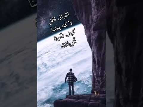 هاني شاكر هاعيش على هوايا