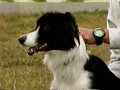 Peter bloeme world canine disc distance record