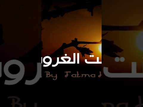 بنت الغروب  للشاعر مصطفى شلبى اكسبلور