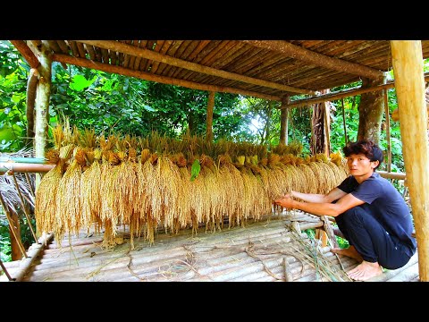 Fences Vegetable Garden And Rice Storage, Building Life, Episode 26