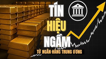 Ngân Hàng Trung Ương Mua Vàng 3 Năm Liên Tiếp: Họ Biết Điều Gì ?  | Giầu Có Từng Ngày