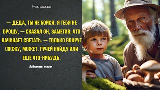 картинка: Деда, ты не бойся, я тебя не брошу Аудио рассказ :