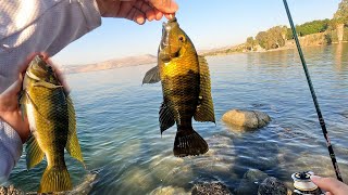 A morning of beach searching and XUL fishing in the Sea of Galilee 🎣. EN Subs 4K