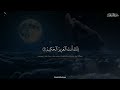 ربنا عليك توكلنا واليك انبنا واليك المصير الشيخ المنشاوي ربنا عليك توكلنا واليك انبنا واليك المصير الشيخ المنشاوي