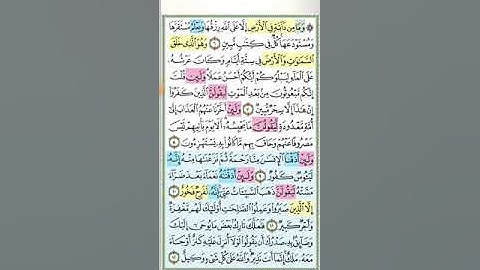 تثبيت وتربيط سورة هود ( من اية ١ حتى ايه ٢٤ )